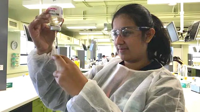 teen Angelina Arora lab scientist released - Estudante australiana cria plástico forte biodegradável feito de cascas de camarão