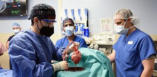 Primeiro transplante bem sucedido de um coração de porco geneticamente modificado em um humano