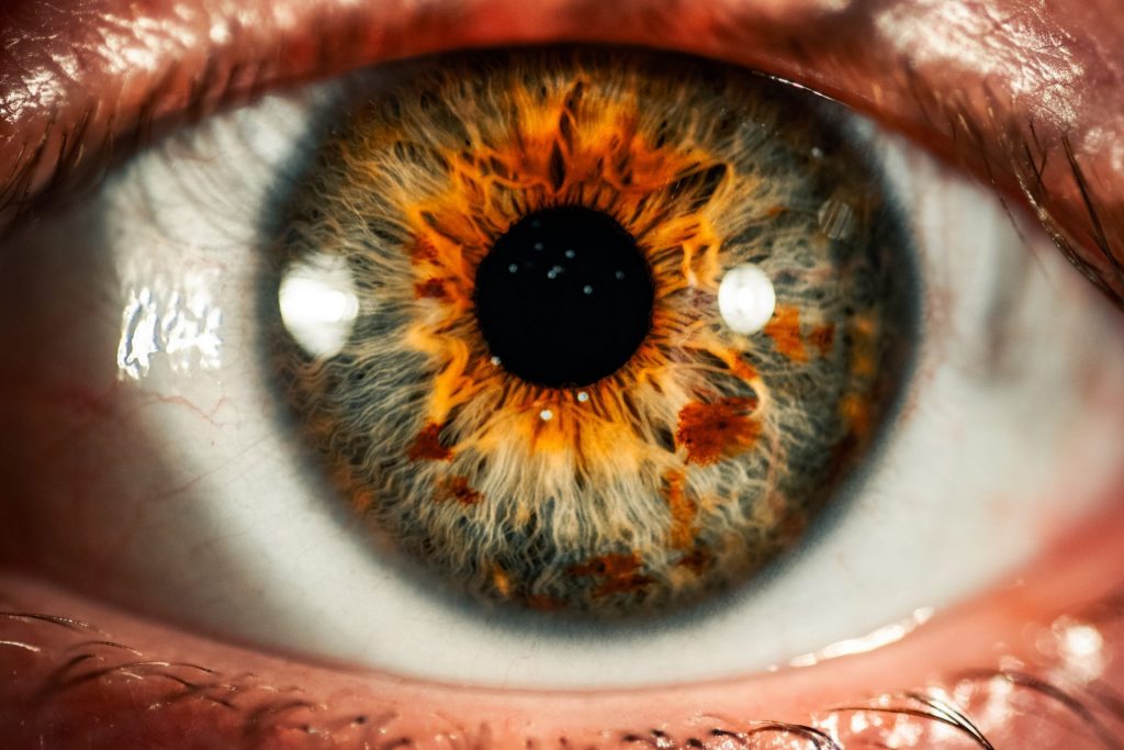 revistasaberesaude.com - A retina pode prever o risco de morte precoce