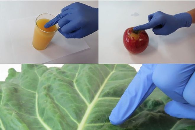 i551757 - Cientistas da USP criam luva que detecta pesticidas em alimentos