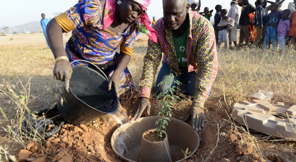 Planting a tree with thelp of the cocoon 1280x700 1 e1633991802309 - Refugiados em Camarões transformam acampamento no deserto em uma floresta exuberante