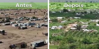 Refugiados em Camarões transformam acampamento no deserto em uma floresta exuberante