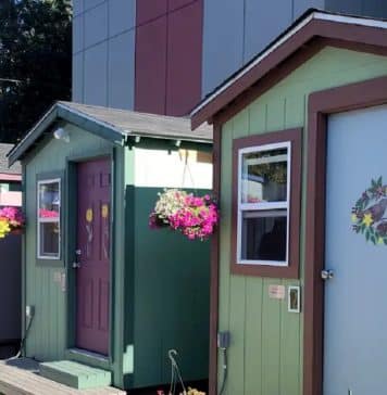 Para mulheres, por mulheres: uma irmandade de operárias constrói pequenas casas para mulheres sem-teto