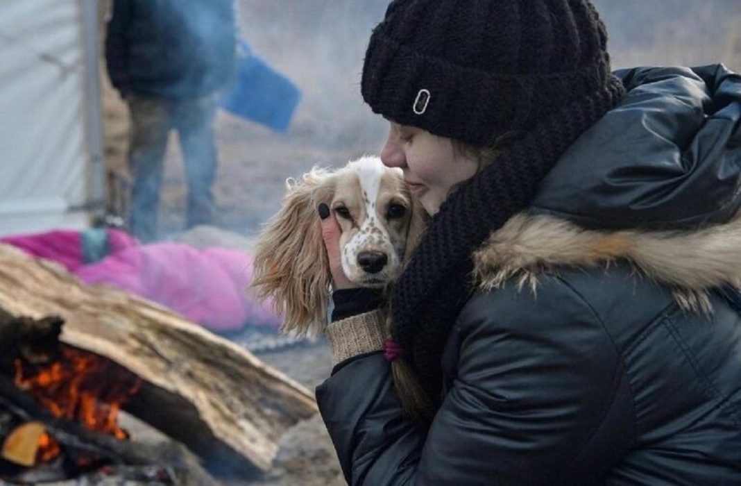 Dilema dos amantes de animais de estimação em meio à guerra na Ucrânia: ‘Não posso deixá-los para trás, não importa o que aconteça’