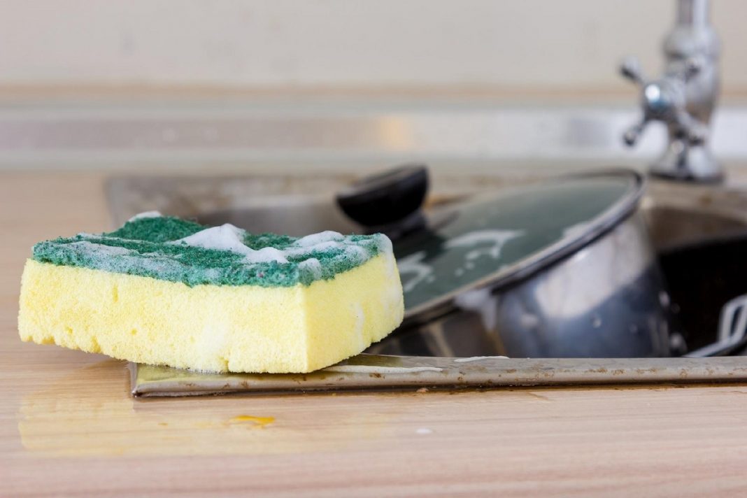 Por que as esponjas de cozinha são o lar perfeito para bactérias
