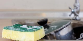 Por que as esponjas de cozinha são o lar perfeito para bactérias