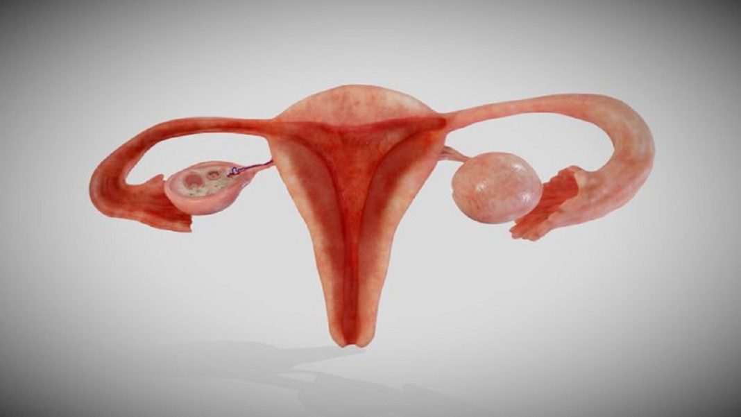 Câncer de útero: alguns sinais e sintomas que você deve conhecer