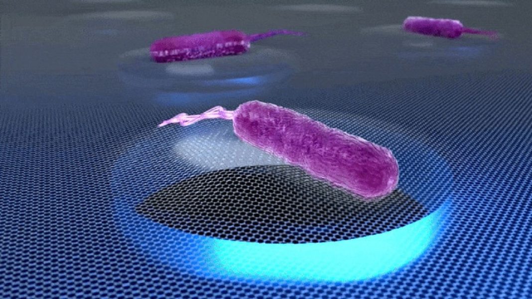 Como as bactérias soam? Trilhas sonoras bacterianas reveladas pela nanotecnologia