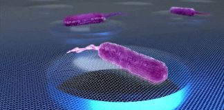 Como as bactérias soam? Trilhas sonoras bacterianas reveladas pela nanotecnologia