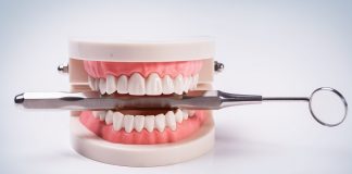 Novas evidências de que os dentes podem preencher suas próprias cavidades