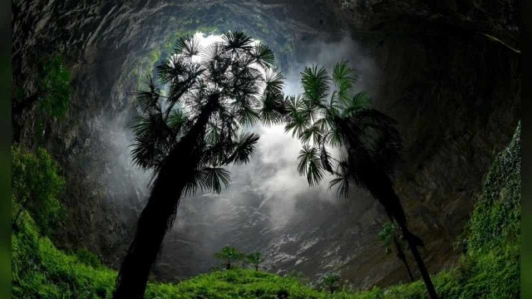 China: descoberta de um abismo gigante abrigando uma floresta primitiva