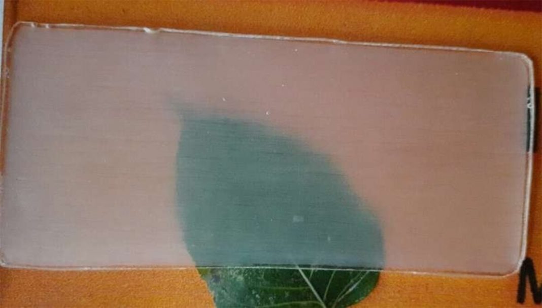 Madeira transparente para substituir o plástico