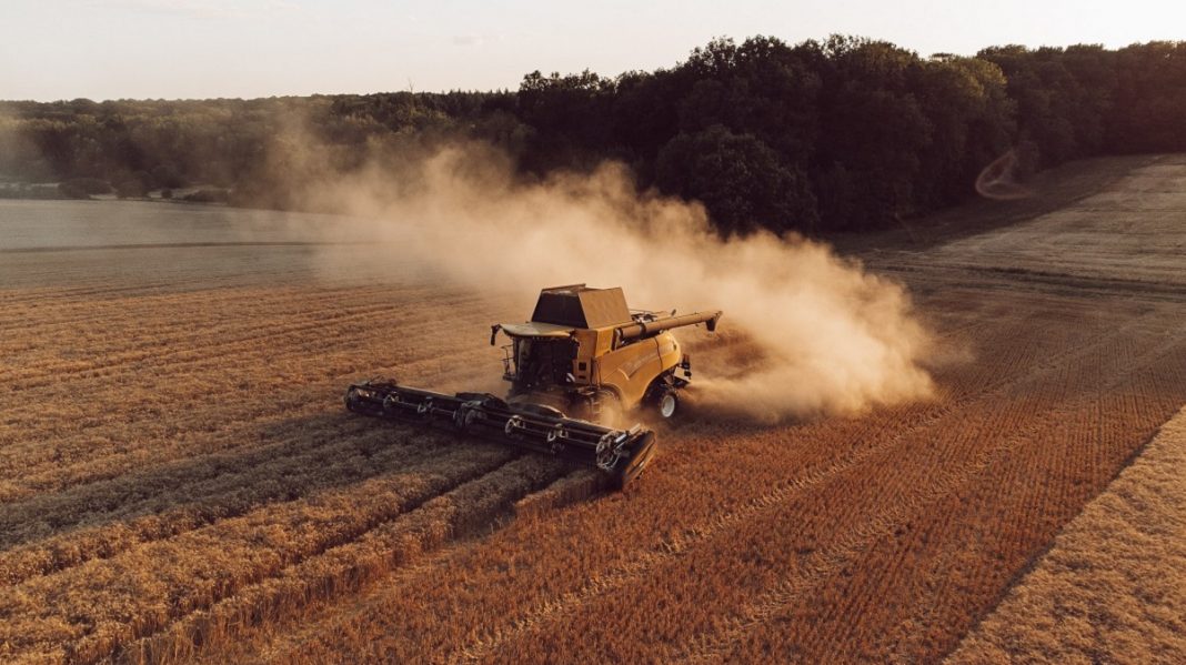 Agricultura barata baseada em sensores pode reduzir o uso de água em até 70%