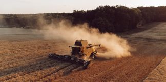 Agricultura barata baseada em sensores pode reduzir o uso de água em até 70%