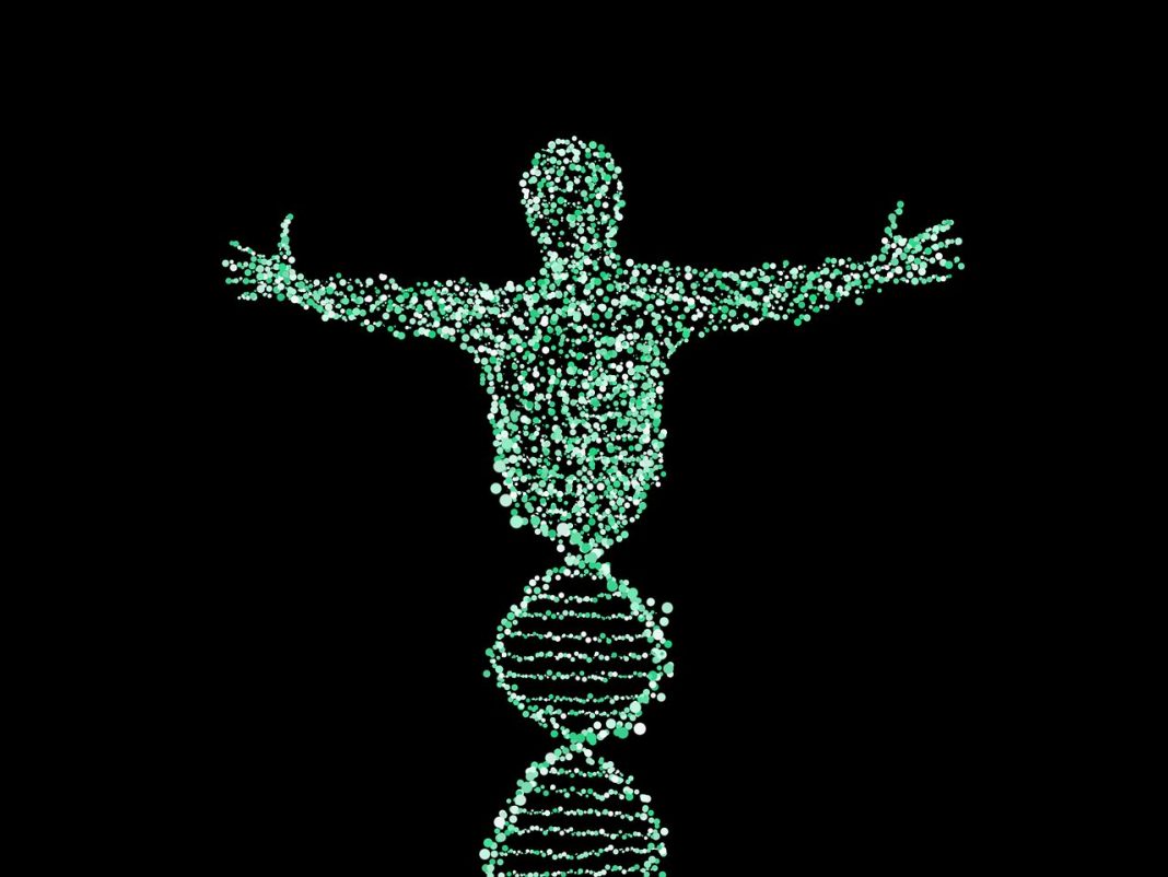 O cromossomo Y está desaparecendo lentamente. Um novo gene sexual pode ser o futuro dos homens