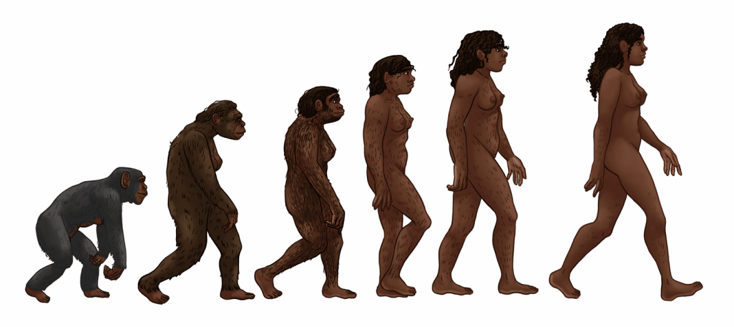 Estudo descobre 155 minúsculos novos genes evoluindo em humanos