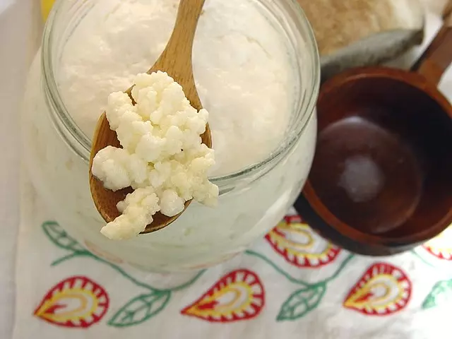 Uma porção de Kefir numa colher de pau