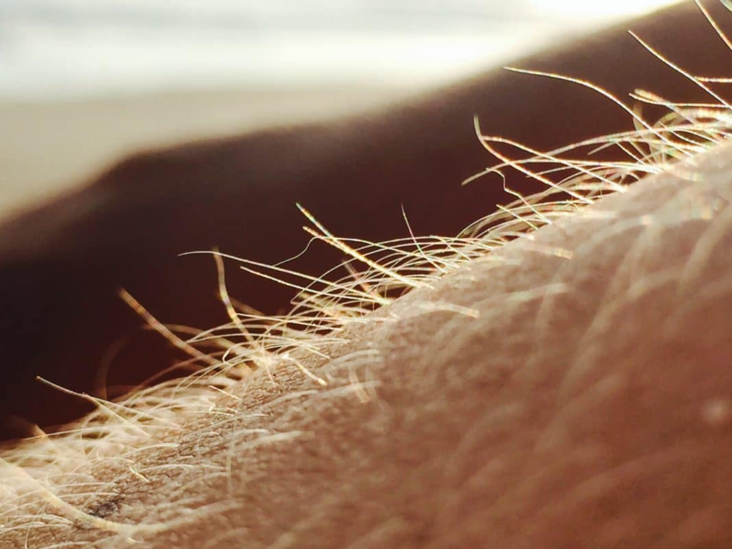 Perturbador: os humanos ainda podem crescer uma pelagem completa, diz estudo