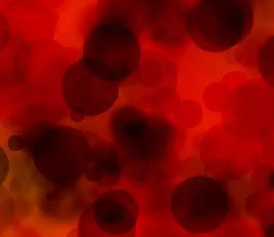 Plasma do sangue