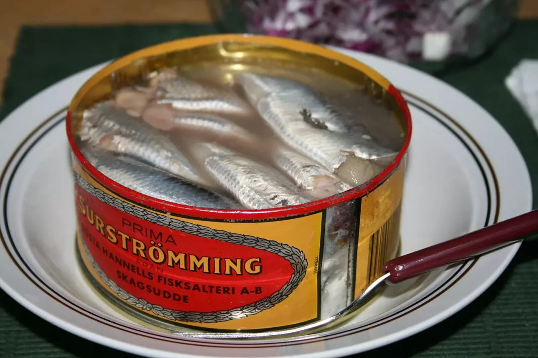 Surströmming: A infame iguaria fermentada sueca que é fascinante