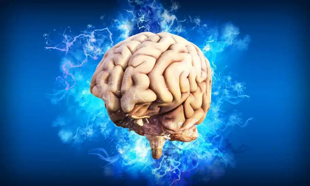 Como o Prozac aumenta a plasticidade cerebral