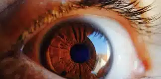 A química quântica que acontece dentro de seus olhos protege contra a perda de visão