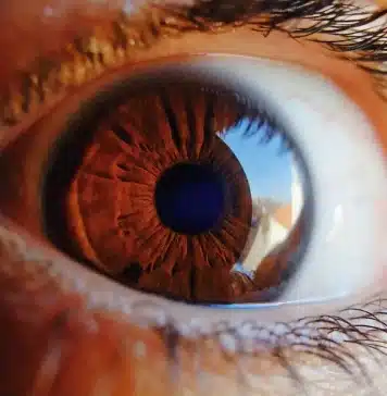 Pupila do olho humano
