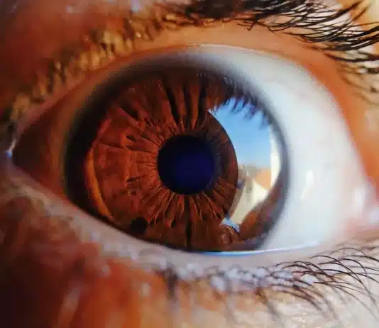 Pupila do olho humano
