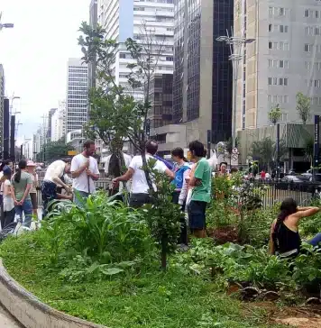 Pessoas tratando de horta urbana