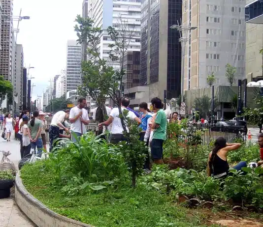 Pessoas tratando de horta urbana